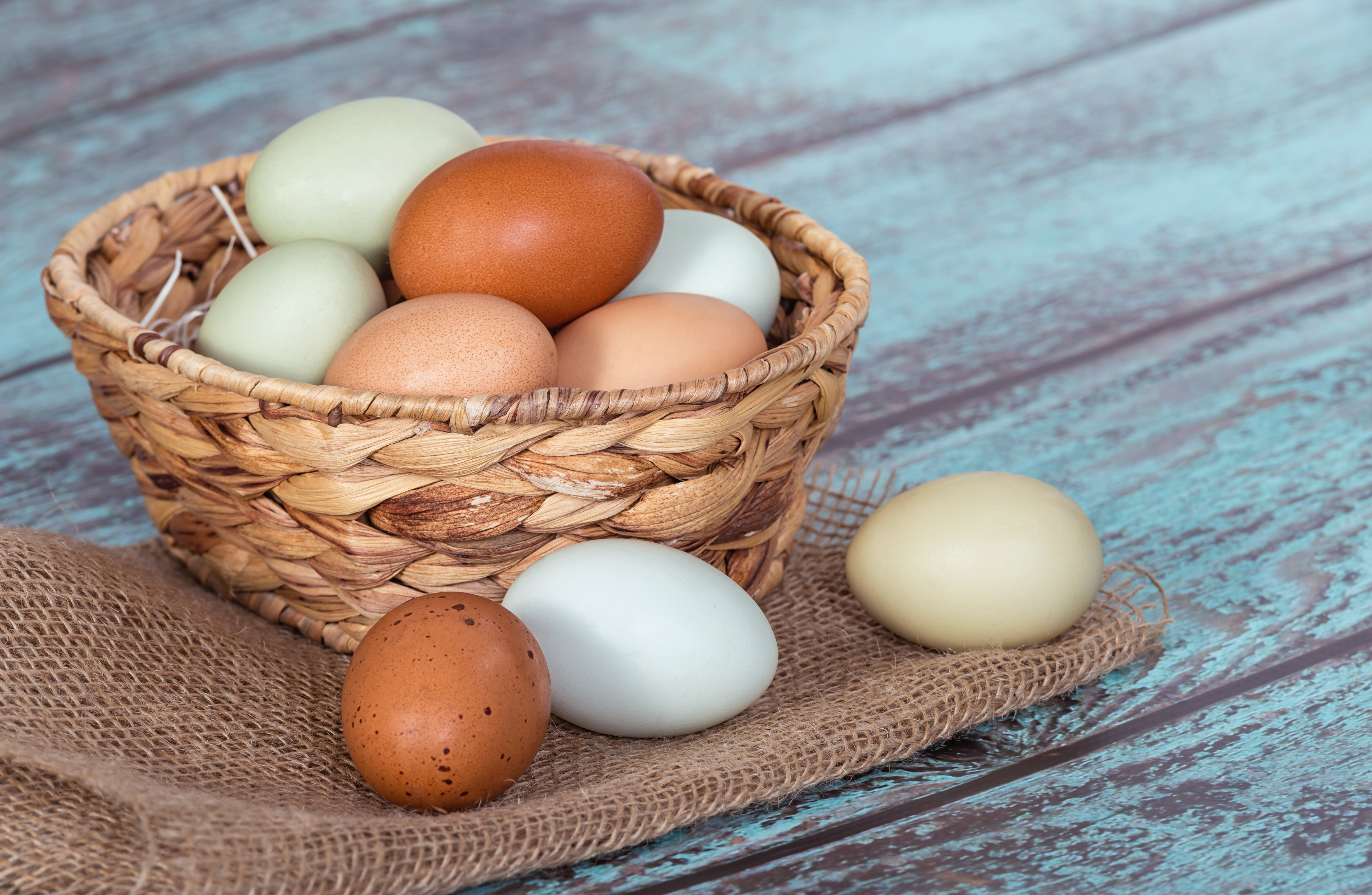 Eggs in a Basket